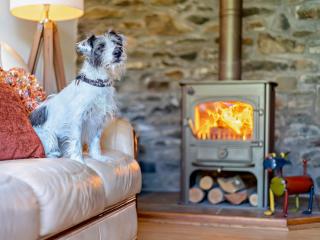 2 Bed in Llanidloes 95815 - Llanidloes - 3