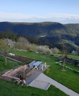 Sandras Bergstation - Bad Rippoldsau-Schapbach - 8