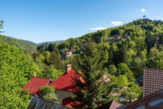 Vila Ferdinand - Apartament Iarina - Sinaia - 9