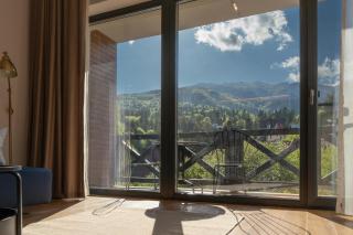 Vila Ferdinand - Apartament Iarina - Sinaia - 6