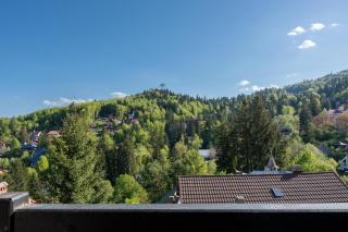 Vila Ferdinand - Apartament Iarina - 4