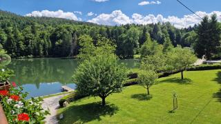 Landgasthof Trattnig - 8