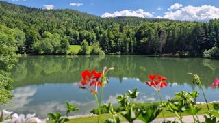 Landgasthof Trattnig - 7