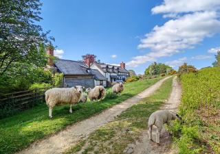 Ramblers Rest - Yarpole - 0