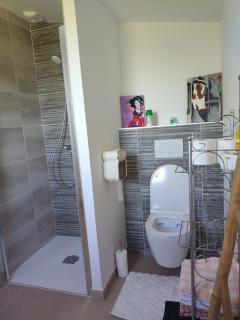 Appartement avec piscine chauffée - Saint-Quay-Portrieux - 9