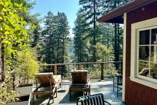 Wanderwood - Guerneville - 9