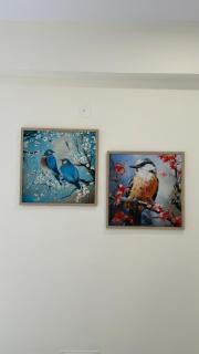 Specious 1BHK City View OTT - Jaipur - 5