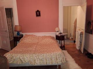 Manoir des Etrichets - Saint-Saturnin - 9