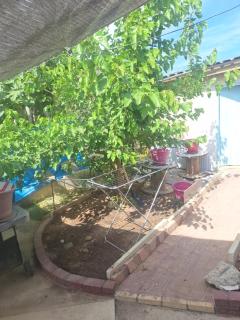 Room with private entrance from outside, traditional house - Livadhia - 3