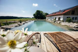 Das Frialing - Altenmarkt an der Alz - 3