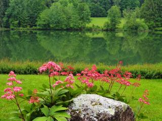 Landgasthof Trattnig - Schiefling am See - 9
