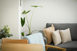 Comfy 1br for beach lovers in TLV with Shelter - 6