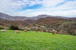 La Carrozal Senda del Oso - 8