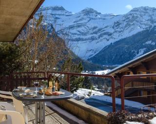 Delightful one bedroom apartment in Les Diablerets - Les Diablerets - 9