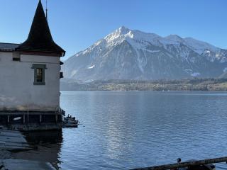 Haus der Schwalbe - Oberhofen am Thunersee - 7