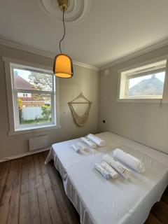 Historic Vibes,Modern Comfort,PV Yard,Walk to City - Stavanger - 1
