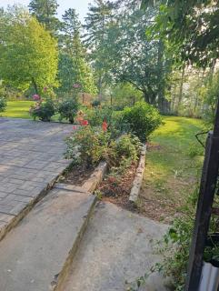 Kirmani Cottage - Barrian - Nathia Gali Road - 8