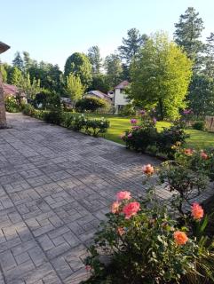 Kirmani Cottage - Barrian - Nathia Gali Road - Khaira Gali - 7