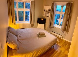 Cozy apartment near light rail 3 bedrooms - 4 beds - Bergen - 9