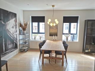 Beautiful apartment in central Vejle - Vejle - 8