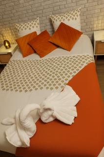 Versailles chic et cosy - Versailles - 1