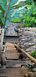 Kidep Maasai Village - 1