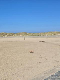 Seasalt Apartment - Barmouth - 3