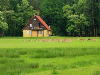 Wildpark Johannismühle - Klein Ziescht - 0