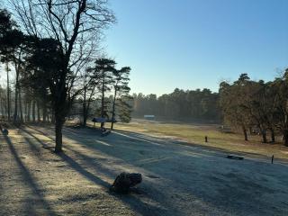 Wildpark Johannismühle - 1
