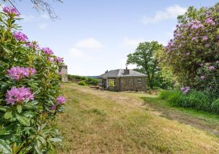 The Gate Lodge Brynteg - Llanwenog - 0