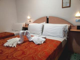 Hotel Adriana - Bellaria-Igea Marina - 9