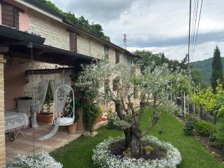 B&B Il Poggetto - Serra SantʼAbbondio - 0