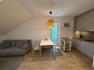 Rodinný mezonetový apartmán Větrák - Dolní Morava - 3