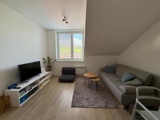 Rodinný mezonetový apartmán Větrák - Dolní Morava - 1