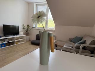 Rodinný mezonetový apartmán Větrák - Dolní Morava - 2