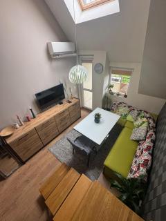 Central Penthouse - Varna - 6