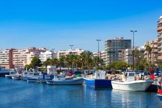 Panoramic views and a swimming pool near the airport - Gran Alacant - 8