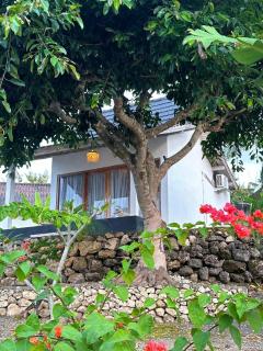 Nature View Inn Private House - Semaya - 8