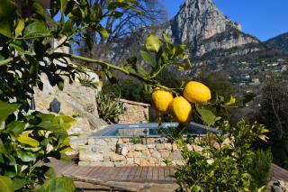 Au Pied des Baous - Vence - 1