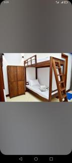 Young wild home stay - Ella - 0