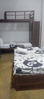 Young wild home stay - Ella - 4