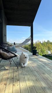 Melø Panorama design home with magical views - Larvik - 5