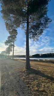 Melø Panorama design home with magical views - 3