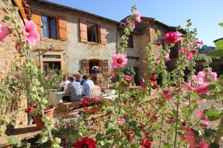 Domaine des Aloets - Moiré - 8