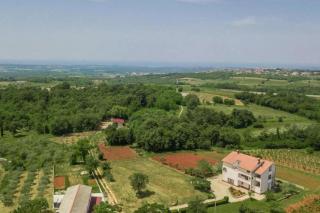 Malvazija - Višnjan - 9