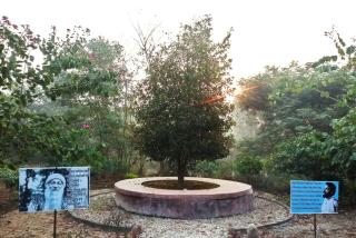 OSHO Jetban Spiritual Village, Lumbini - Rummindei - 2