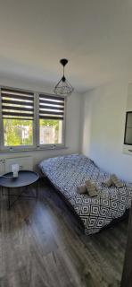 Apartament Zdrojowy - Głuchołazy - 9