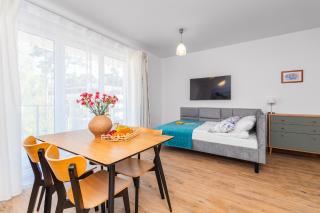 APARTAMENTY MIERZEJA - STEGNA PARK II, Studio 24m2, 500 m od plaży - Stegna - 7