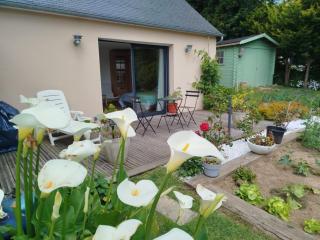 Les hortensias - Lannion - 1