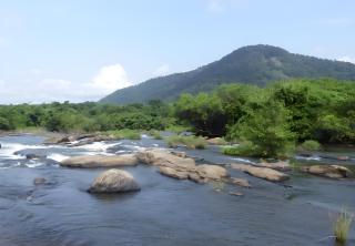 Palatty's Resorts - Athirappally - 2